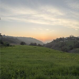 Meet your Posher, Hyeri